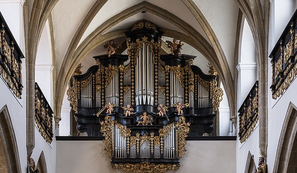Orgel in der Stadtpfarrkirche Freistadt 