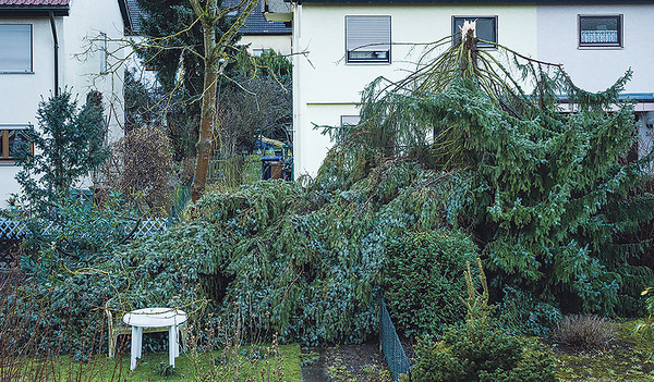 Stürme sind auch für den Garten gefährlich.         