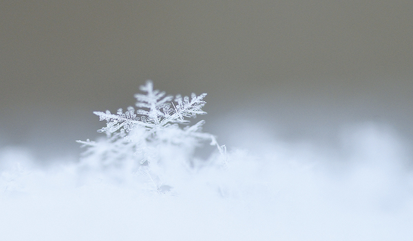 Eine Schneeflocke wiegt nur 0,004 Gramm. Leicht ist auch das Lebensgefühl, das die Geburt Jesu vermittelt. 