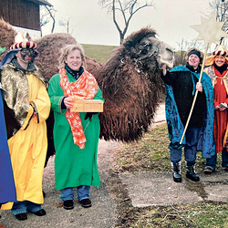 Eine Sternsinger-Frauengruppe besuchte einen Bauernhof, wo damals exotische Tiere gezüchtet wurden. Die Sternträgerin Andrea Köpfle durfte eines der Kamele an die Hand nehmen und führen. 