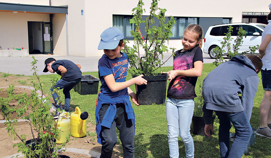 Kinder der Jungschar Enns-St.Marien beim Garteln