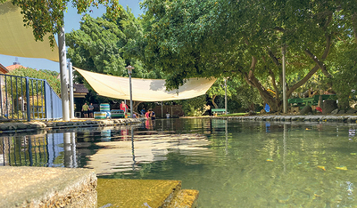 Schwimmbecken in Beit Noah: ein Ort der Lebensfreude