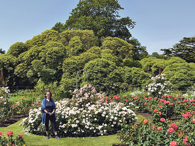 Hillsborough Castle and Gardens
