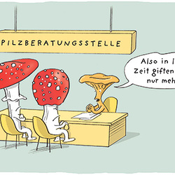 Nr. 30/2023