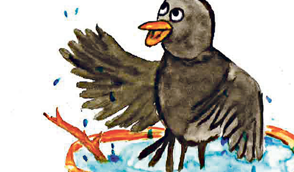 Die Amsel will baden – eine der Geschichten im kunterbunten Vorlesebuch der Caritas. 