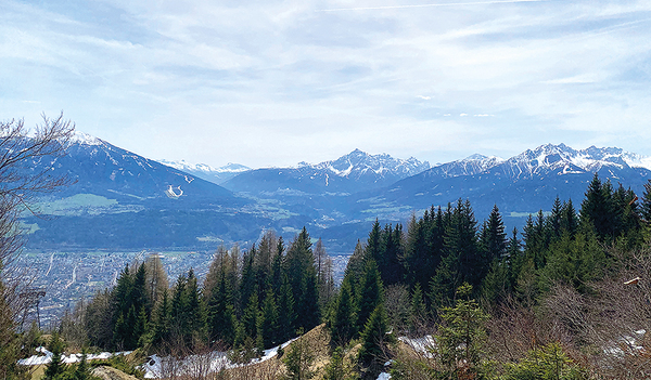 In der Bibel klatschen Bäume Beifall, und Berge können jubeln. Alles drückt Freude aus.