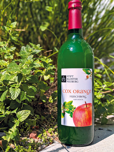 Cox Orange – die Lieblingssorte von Herrn Elias.  