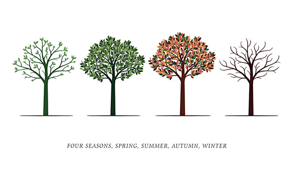 Frühling	- Sommer - Herbst - Winter