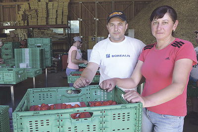 Natascha Fozykosh und Peta Molnar kommen seit mehr als zehn Jahren zur Feldarbeit auf den Hof von Wolfgang Berger.