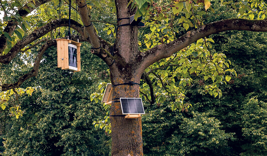 Dennis Sierings Projekt verwandelt antifaschistische Protestlieder in künstlichen Vogelgesang. 