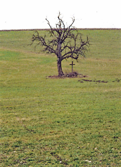 60 Jahre später sieht man nur noch den Baum und das verwitterte Holzkreuz.