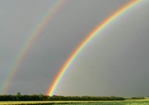 Regenbogen / Rainbow [ (c) www.BilderBox.com,Erwin Wodicka,Siedlerzeile 3,A4062 Thening,Tel.+43 676 5103 678. Verwendung nur gegen HONORAR, BELEG, URHEBERVERMERK und den AGBs auf bilderbox.com ] (in an im aus als and und beim mit einen einer einem ei