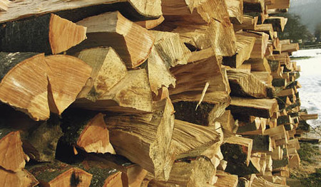 Brennholz - firewood [ (c) www.BilderBox.com, Erwin Wodicka, Siedlerzeile 3, A-4062 Thening, Tel. + 43 676 5103678.Verwendung nur gegen HONORAR, BELEG,URHEBERVERMERK und den AGBs auf bilderbox.com](in an im auf aus als and beim mit einer einem eines 