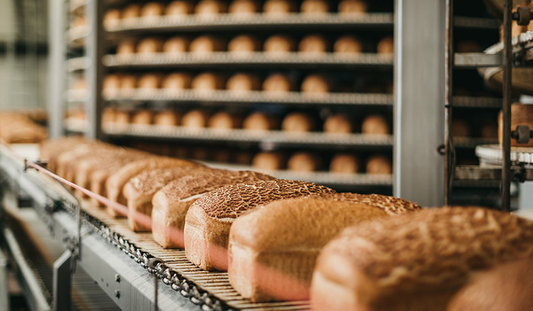 In einer Brotfabrik entsteht das Brot am Fließband (Foto). In einer Backstube wird viel mehr mit der Hand gemacht. Welches Brot schmeckt dir besser?