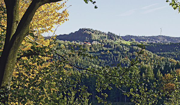 Im Kober­naußer­wald mit Blick Richtung Ortschaft Warmanstadl 