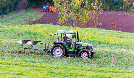 Scharf wie Schwerter, aber für die Ernährung von Menschen nützlich, sind die Pflugscharen.