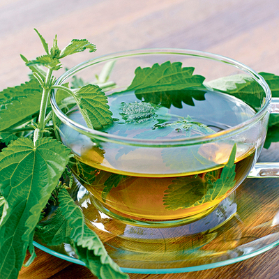 Brennnesseltee eignet sich gut für die Frühjahrskur.  