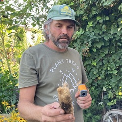Die getrocknete Luffa-Gurke kann nun zum Putzen verwendet werden.