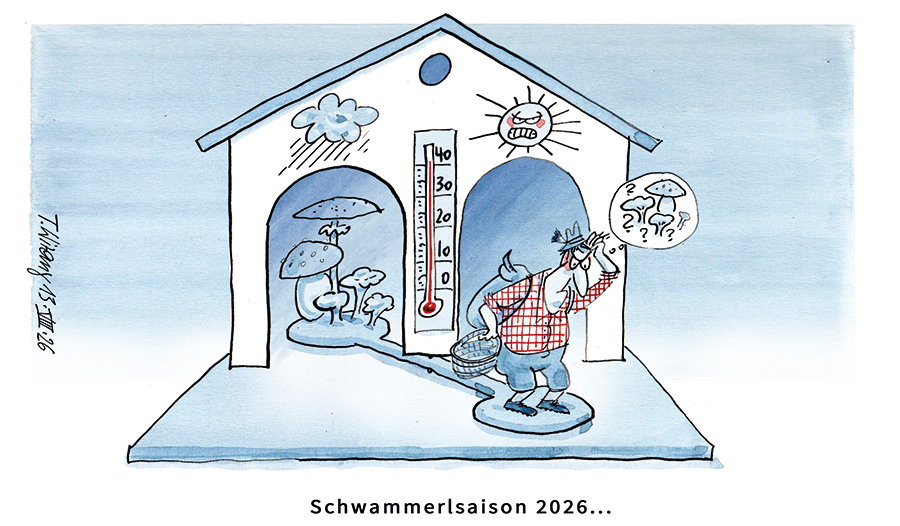 Nr. 33/2026