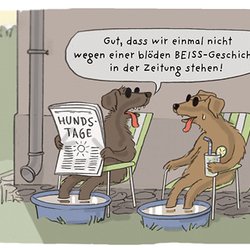 Nr. 35/2024