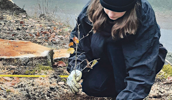 Die Jugendlichen pflanzten Baumsetzlinge.  