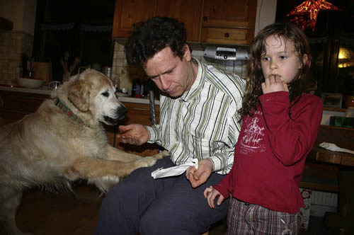 Fred Androsch war Pilot bei Lauda Air. Nach einem Autounfall am 9. September 1995 war er sechs Monate im Wachkoma. Mit eiserner Disziplin erobert er St?ck um St?ck sein selbstst?ndiges Leben wieder. Partnerhund Ghandi hilft ihm dabei. Fred lebt mit F