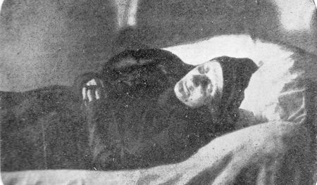 Theresia Bruckner, geb. Helm, auf dem Totenbett