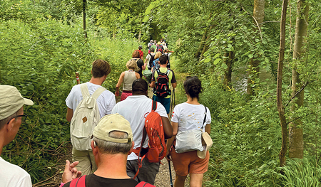 Der Pilgerweg führte auch durch die Donau-Auen nach Naarn.   