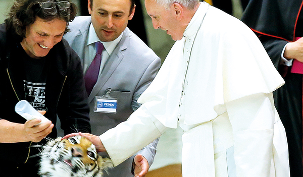 Berührungsängste kannte Papst Franziskus nicht. Am 16. Juni 2016 streichelte er einen jungen Tiger und machte damit seinem naturverbundenen Namenspatron aus Assisi Ehre.  