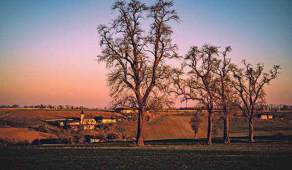 Sieger Kategorie über 18 Jahre: Horst Hutwagner fotografierte den „Semoargrobn“