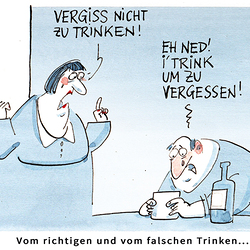 Nr. 29/2026