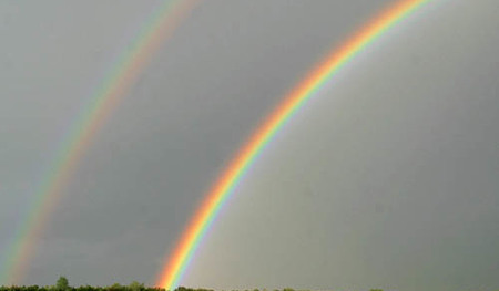 Regenbogen / Rainbow [ (c) www.BilderBox.com,Erwin Wodicka,Siedlerzeile 3,A4062 Thening,Tel.+43 676 5103 678. Verwendung nur gegen HONORAR, BELEG, URHEBERVERMERK und den AGBs auf bilderbox.com ] (in an im aus als and und beim mit einen einer einem ei