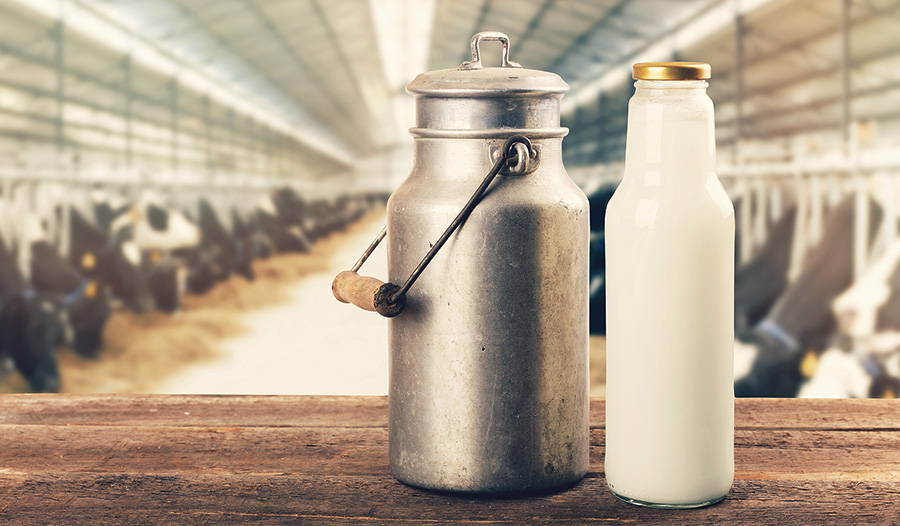 Der Weg der Milch.  