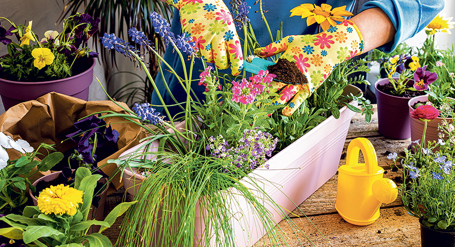 Endlich wieder Farbe nach dem langen, grauen Winter.