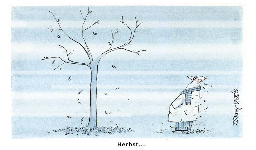 Nr. 41/2026