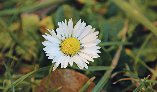 Aktuelles Bild aus dem Garten 