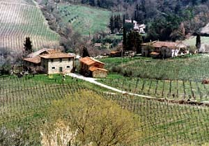 Italien - Toscana - Bauernhof                                  Copyright by Erwin Johann Wodicka, Siedlerzeile 3, A-4062 Thening Tel:+43-(0)664 / 340 2757; Fax:+43-(0)7221/ 64960                         Email: bilderbox@netway.atBank ?sterreich: