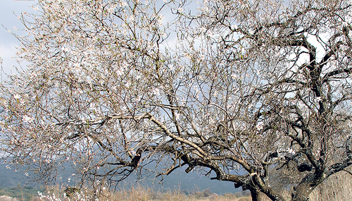 Auf den Wegen des Lebens mit Gott unterwegs. 