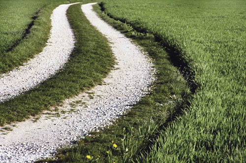 Feldweg [ (c) www.BilderBox.com, Erwin Wodicka, Siedlerzeile 3, A-4062 Thening, Tel. + 43 676 5103678.Verwendung nur gegen HONORAR, BELEG,URHEBERVERMERK und den AGBs auf bilderbox.com](in an im auf aus als and beim mit einer einem eines * & der die d