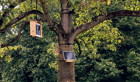 Dennis Sierings Projekt verwandelt antifaschistische Protestlieder in künstlichen Vogelgesang. 