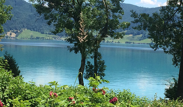 Auftanken beim Schwimmen, Lesen und Nichtstun.