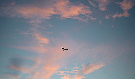 Nicht nur „im Himmel“ ist Gott, sondern mittendrin.