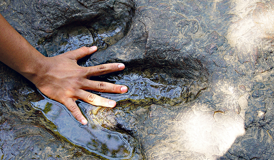 Schon in der Urzeit war Wasser unersetzlich für das Leben. 