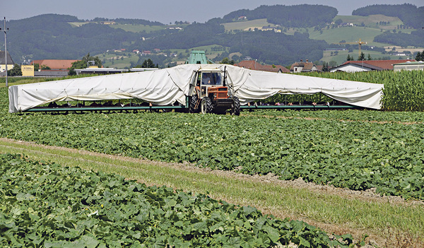 Der „Gurkerlflieger“ ist ein Traktor mit Flügeln, auf dem die Helfer/innen liegend die Gurken mit der Hand pflücken.  