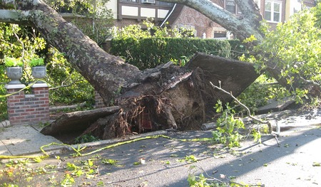 Gewaltige Zerstörungen.
