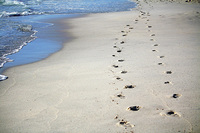 Was in Sand geschrieben steht wird bald vom heranschwappenden Wasser weggespült.   