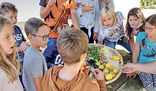 Die Pfarre St. Georgen feierte am Sonntag, 12. September 2021,  ihr Erntedankfest. Dabei hat sich der Brauch entwickelt, dass am Tag nach dem Fest Vetreter/innen der Pfarre den Erntekorb mit dem Obst und Gemüse in die Volksschule bringen, in der Kind