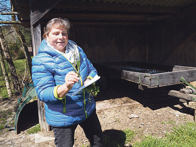 Kräuterpädagogin Anneliese Nußbaumer führt uns über die Almwiese und teilt mit uns ihr Wissen, etwa über die Heilkraft von Gänseblümchen.     