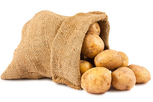 Raw potatoes in burlap sack isolated on white background