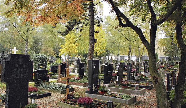 1200 Bäume stehen auf dem Barbarafriedhof.